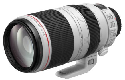 Canon EF 100-400MM 1:4.5-5.6 L IS II USM