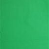 Falcon Eyes Achtergronddoek BCP-10 2,9x5 m Chroma Groen Uitwasbaar