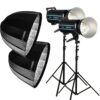 Godox QS800II Portrait Performance KIT