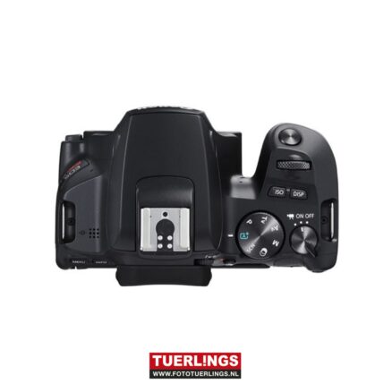 Canon EOS 250D Body