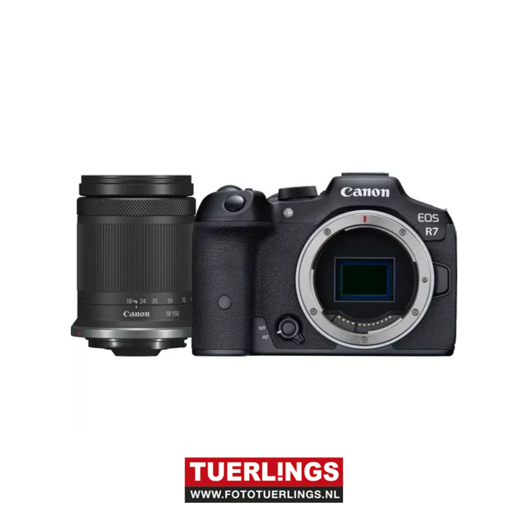 Canon EOS R7 Body RF-S 18-150MM F3.5-6.3 IS STM - Foto Tuerlings - Foto Tuerlings - Foto Tuerlings