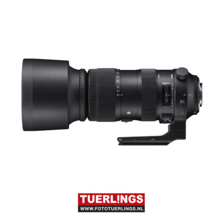 Sigma 60-600mm F4.5-6.3 DG OS HSM Sports voor Nikon occasion