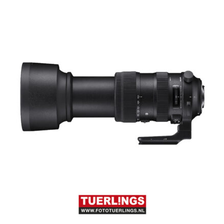 Sigma 60-600mm F4.5-6.3 DG OS HSM Sports voor Nikon occasion - Afbeelding 3