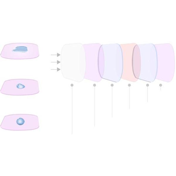 Action Diving Filter voor DJI Osmo - Afbeelding 8