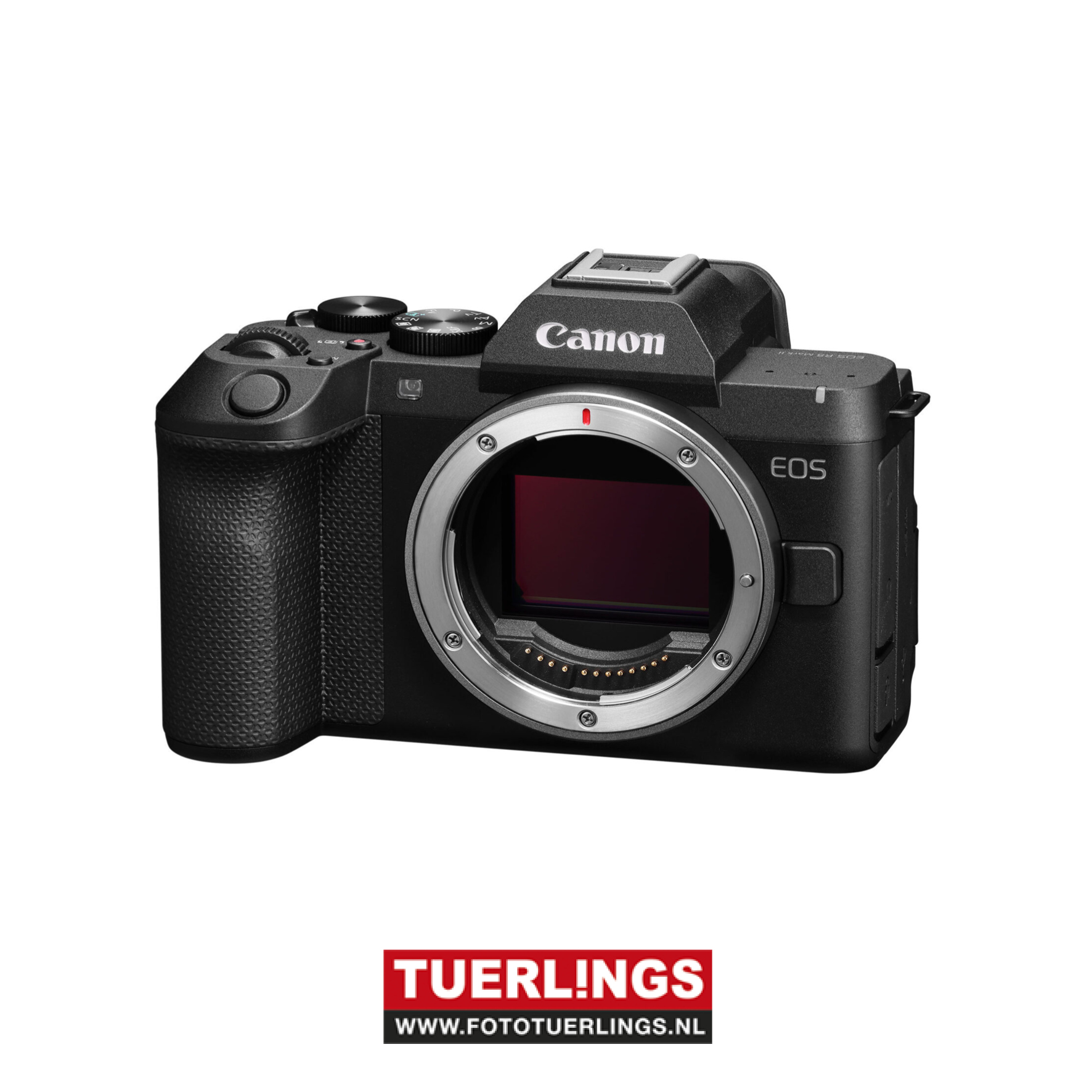 Canon EOS R8 Mark II - Afbeelding 3