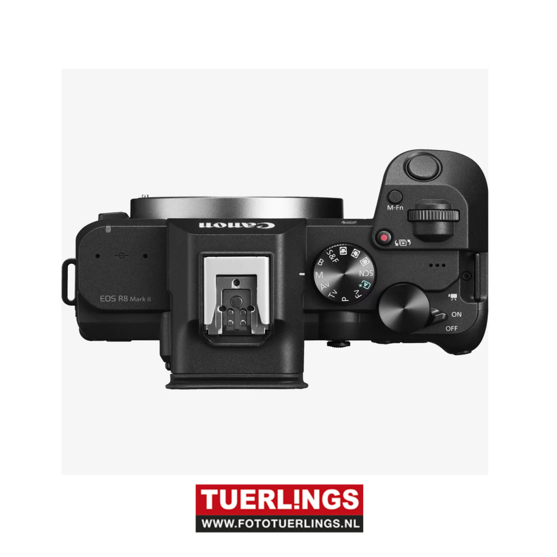 Canon EOS R8 Mark II - Afbeelding 5